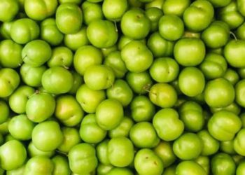 რა სასარგებლო თვისებები აქვს ალუჩას და როდის არის ის საზიანო ორგანიზმისთვის?