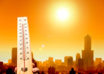 แขแแแแแ แแขแฃแ แ +33, +35 แแ แแแฃแกแก แแแแฆแฌแแแกโฆ โ แแแขแแแ แแแแแแก แแ แแแแแแ