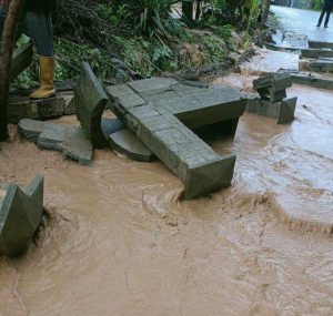 განადგურებული ვენახები და დატბორილი ქუჩები – სტიქიამ სამეგრელოს სოფლებს პრობლემები შეუქმნა