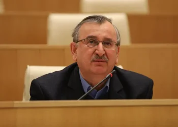 “კორონავირუსის სტატისტიკა ფაქტობრივად გასაიდუმლოებულია – მთავრობის სინდისზეა ის, რომ პანდემია საქართველომ ყველაზე მძიმედ გადაიტანა”– რა ინფორმაციას ავრცელებს რომან გოცირიძე?