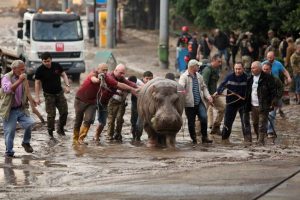 13 ივნისის ტრაგედიიდან 10 წელი გავიდა