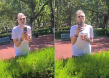 დეპუტატ ვიქტორ სანიკიძეს პარკში გამვლელებმა სამარცხვინო ეძახეს