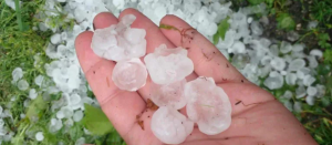 ცაგერის მუნიციპალიტეტის სოფლებში სეტყვამ რამდენიმე სოფელი დააზარალა - რა ხდება ადგილზე?