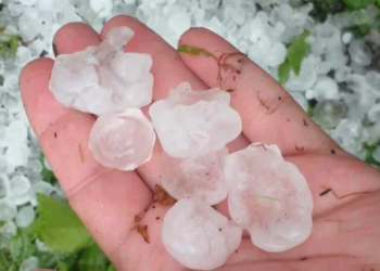 ცაგერის მუნიციპალიტეტის სოფლებში სეტყვამ რამდენიმე სოფელი დააზარალა – რა ხდება ადგილზე?