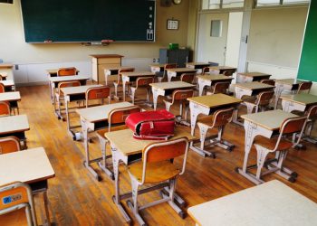 მოსწავლეებისა და მშობლების პერსონალური მონაცემები ხელმისაწვდომი ხდება – ახალი შტატი საჯარო სკოლებში