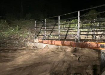 “მდინარე ტანა ადიდდა, ბობნევს გამოსცდა, მოგლიჯა ხეები და პატარა ხიდები”– რა ხდება ამ წუთებში ადგილზე?