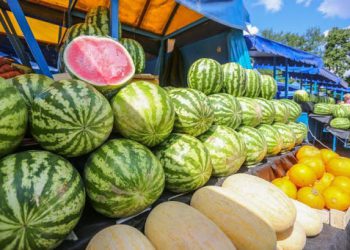 რატომაა საშიში საავტომობილო გზებთან ახლოს ნაყიდი ხილისა და ბოსტნეულის ჭამა?