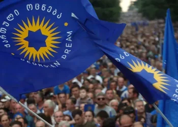 წიგნების დამტარებლები, დამლაგებლები, მეეზოვეები – სად ასაქმებს “ოცნება” ხალხს და რას აკეთებს ხმების მობილიზებისთვის