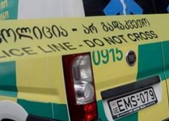 “ქალი ცოფით თავისივე ლეკვისგან დაინფიცირდა”–  რა ხდება ცნობილი ამბროლაურში ქალის ცოფით გარდაცვალებაზე?