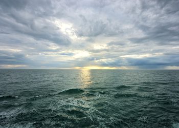 შავი ზღვის დაბინძურების შემთხვევების რაოდენობა მაღალია – ოქტომბრიდან გემების მიერ ზღვის დაბინძურებაზე ჯარიმა 100 000-მდე გაიზრდება