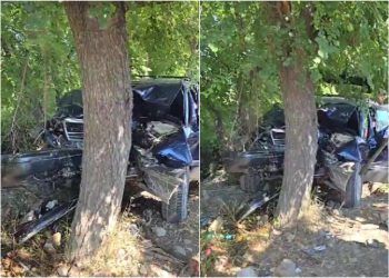 🎥უმძიმესი ავარიის კადრები რუსთავი-გაჩიანის საავტომობილო გზიდან – არის მსხვერპლი