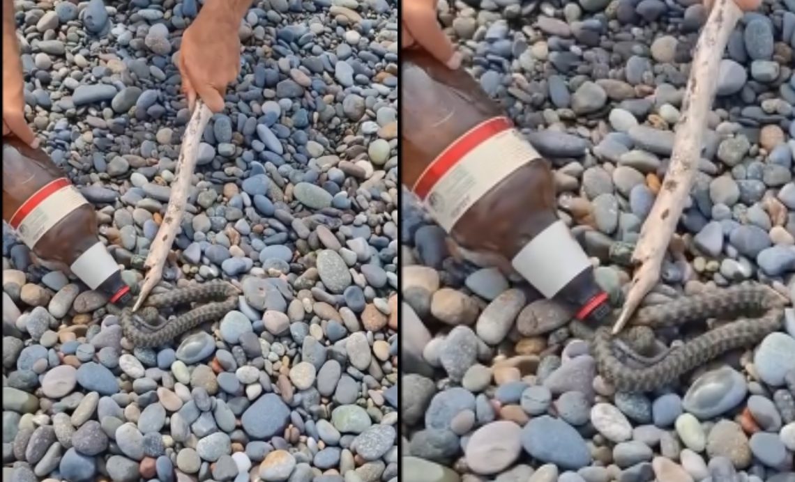 🎥 “საშინელი სანახაობაა…” – რა კადრები ვრცელდება ქობულეთის სანაპიროდან?