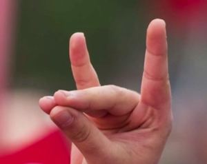 რა გააკეთა თურქმა ფეხბურთელმა ავსტრიის ნაკრების კარში გატანილი გოლის შემდეგ, რასაც სკანდალი მოჰყვა და უეფამ გამოძიება დაიწყო?