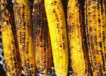 “შეიძლება მათთვის საზიანო იყოს…” – ვინ არ უნდა მიირთვას მოხარშული სიმინდი?