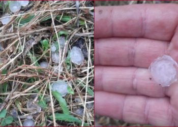 წალენჯიხაში სტიქიას ებრძვიან – რა ზარალი განიცადა მოსახლეობამ?