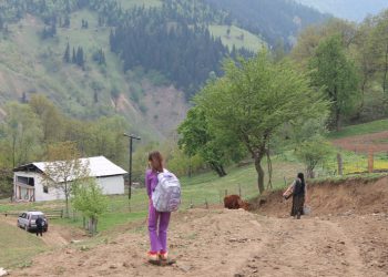 რა თანხა გაიცემა მაღალმთიან რეგიონებში სოციალური შეღავათების ფარგლებში