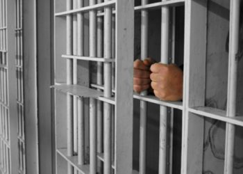 “ოცნებამ” ამნისტიის კანონპროექტი დააინიცირა – ვის შეეხება კანონი?