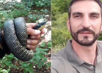 “გარდაცვლილის პირველადი დათვალიერებით არ დასტურდება გველის ნაკბენი და მითუმეტეს ამ მიზეზით გარდაცვალება“ – გარდაცვლილ ტურისტთან დაკავშირებით ახალი დეტალები ხდება ცნობილი