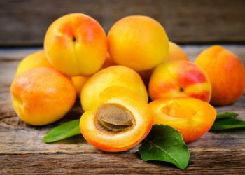 რა სამკურნალო თვისებები აქვს გარგარს და ვის ეკრძალება მისი მიღება