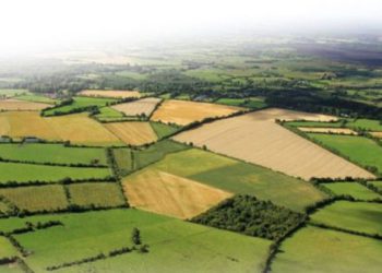 ჩაეტევა თუ არა ვადებში მიწის სისტემური რეგისტრაციის პროცესი – რას ამბობენ საჯარო რეესტრში?