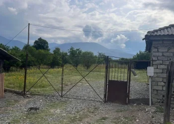 ადგილობრივები თელავში მომხდარი მკვლელობის შესახებ ახალ დეტალებს ჰყვებიან