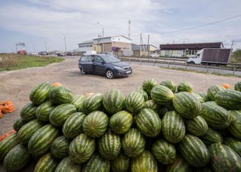 არის თუ არა საშიში დეფორმირებული ნაყინი და გზის პირას ნაყიდი ხილ-ბოსტნეული