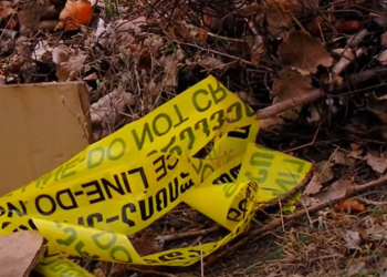 სისხლიანი დაპირისპირება მწყემსებს შორის – რა მოხდა ასხის მთაზე?