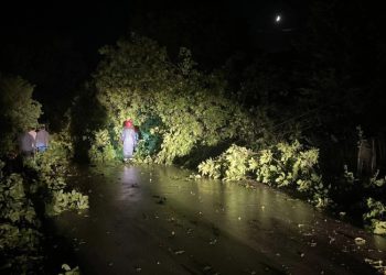 სტიქია კახეთში – ძლიერმა ქარმა ლაგოდეხში მოსახლეობა დააზარალა – რა ინფორმაცია ვრცელდება ადგილიდან?