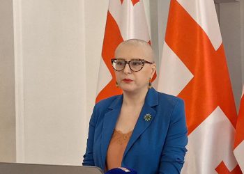 ხათუნა სამნიძე საპარლამენტო საქმიანობას დაუბრუნდა