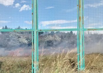 🎥თბილისის ზღვაზე, ზოოპარკის ტერიტორიაზე ხანძარია – რა ხდება ადგილზე?