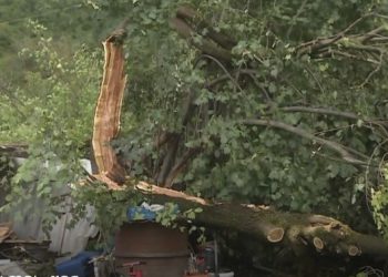 ახმეტაში სტიქიის შედეგად არასრულწლოვანი დაშავდა