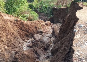 მეწყერი და ჩავარდნილი გზა სოფელ ვაყაში – ხაშურის მერია პირველ განცხადებას ავრცელებს