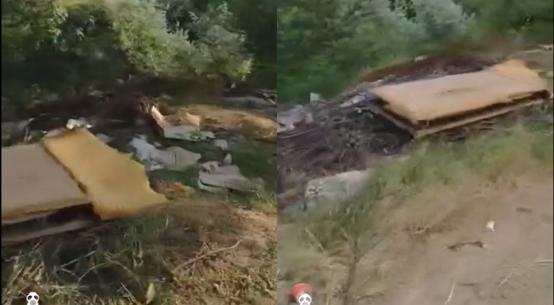 🎥 “გაიხრწნება თუ ვინმე გაიტანს მალევე?..” – ვრცელდება ვიდეოკადრები თბილისის ზღვის ტერიტორიიდან, რომელსაც საზოგადოების გაღიზიანება მოჰყვა