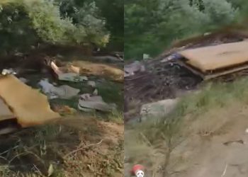 🎥 “გაიხრწნება თუ ვინმე გაიტანს მალევე?..” – ვრცელდება ვიდეოკადრები თბილისის ზღვის ტერიტორიიდან, რომელსაც საზოგადოების გაღიზიანება მოჰყვა