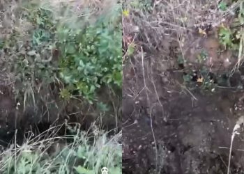 🎥 “ძალიან მძიმედაა საქმე”- კიკეთის ტყეში მიწა გასკდა – საგანგაშო კადრები ადგილიდან