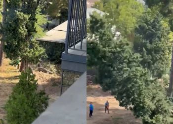 🎥რა ხდება რუსთავში? – ვრცელდება საგანგაშო კადრები – მოსახლეობა დახმარებას ითხოვს