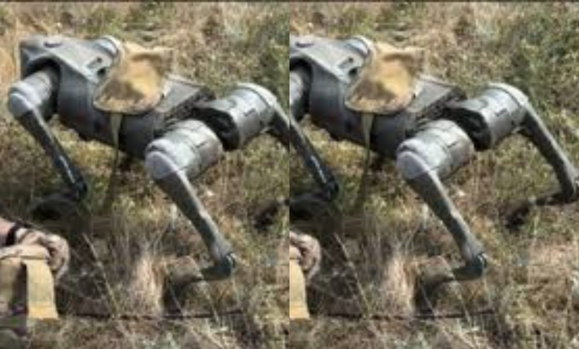 ๐ฅแฃแแ แแแแแ แแ แซแแแแจแ แ แแแแขแ แซแแฆแแแแ แฉแแ แแ – แแแแ แแแ แคแ แแแขแแก แฎแแแแแแ, แแฃ แ แแแแ แแแแ แแแแ แแแฎแคแแฎแ แแ แแแแแ แขแแ แแขแแ แแแก