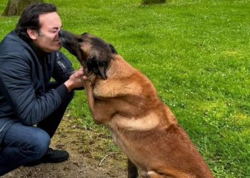 ალენ დელონის ბოლო სურვილი, რომელსაც მას ოჯახი არ შეუსრულებს