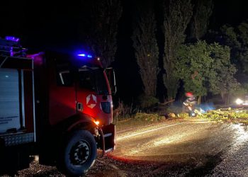 სტიქია კახეთში – გადახდილია საცხოვრებელი სახლების სახურავები, დალეჯილია მრავალწლოვანი ხეები, ჩახერგილია გზები