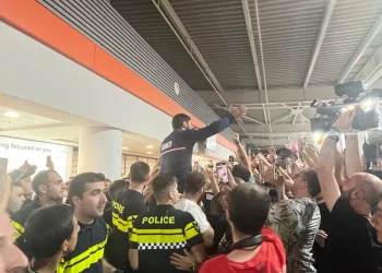 🎥როგორ დახვდნენ ქართველ სპორტსმენებს თბილისის აეროპორტში – ემოციური კადრები