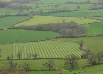საქართველოს 14 მაღალმთიან ადმინისტრაციულ ერთეულში მიწის სისტემური რეგისტრაცია უკვე დასრულდა- იხილეთ ჩამონათვალი