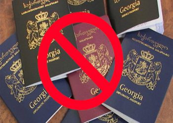 რამდენ ადამიანს შეუწყდა წელს საქართველოს მოქალაქეობა?