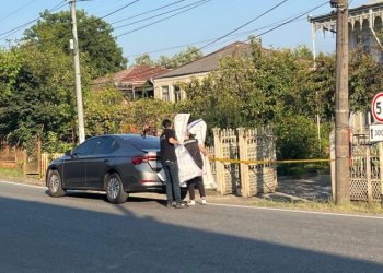 სამტრედიაში, 72 წლის ქალის მკვლელობისთვის 36 წლის კაცი დააკავეს