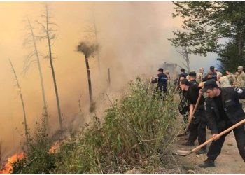“ტყის ხანძრების რისკი გაიზრდება”– გარემოს ეროვნული სააგენტო მოსახლეობას აფრთხილებს