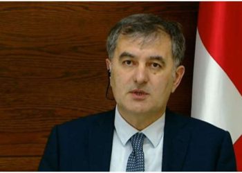 სოზარ სუბარი სამძიმრის წერილს აქვეყნებს