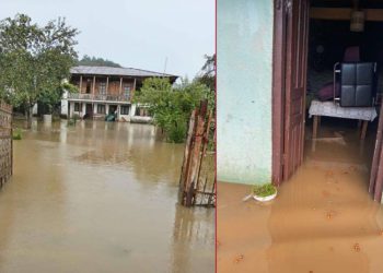 სტიქია წალენჯიხაში – ძლიერმა წვიმამ საცხოვრებელი სახლები დატბორა – რა ხდება ადგილზე?