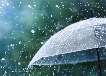 სინოპტიკოსების პროგნოზით, 5-8 აგვისტოს საქართველოს ზოგიერთ რაიონში მოსალოდნელია ხანმოკლე წვიმა ელჭექით