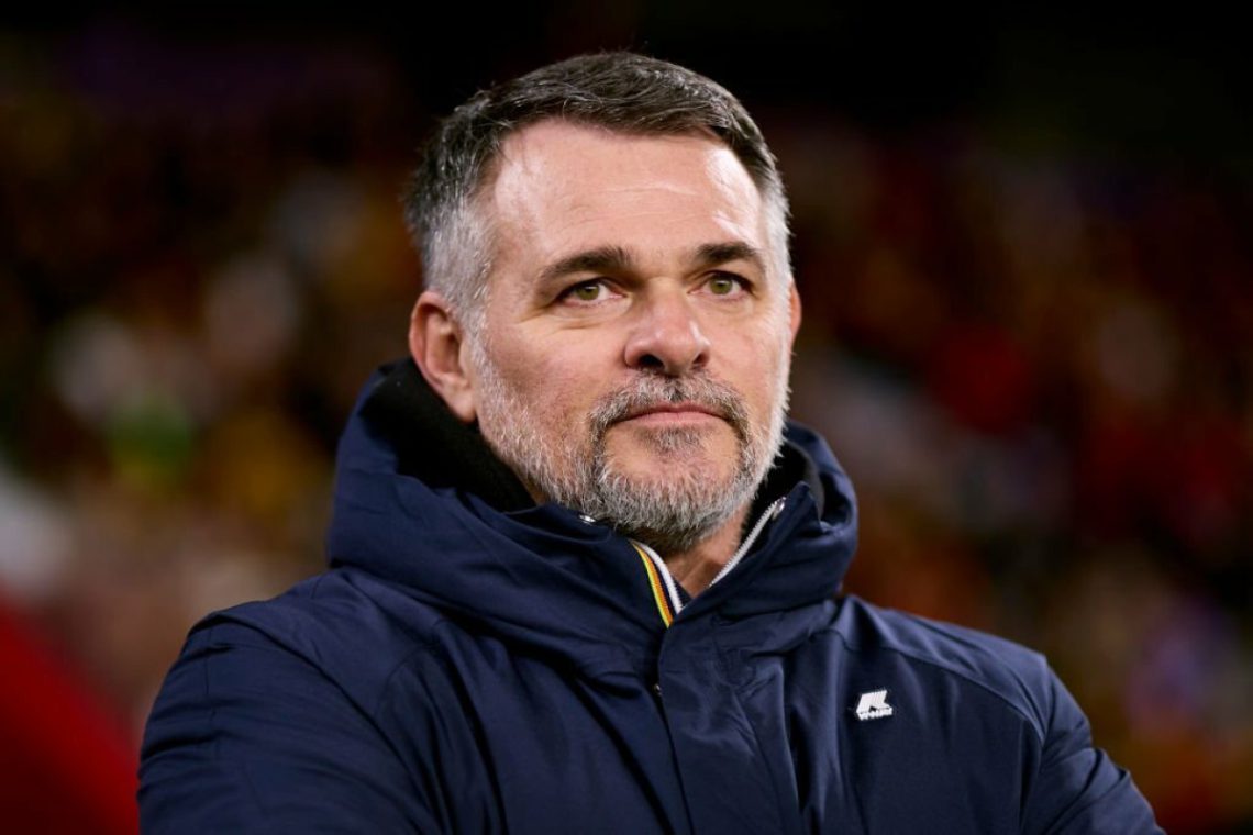 “დასრულდა ბედნიერება” – რა განცხადებას აკეთებს მატჩის წინ ვილი სანიოლი?