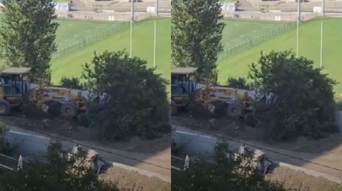 🎥”წლობით ნაზარდი ხე წამში მოთხარეს” – ვრცელდება კადრები, რომელმაც საზოგადოება აღაშფოთა