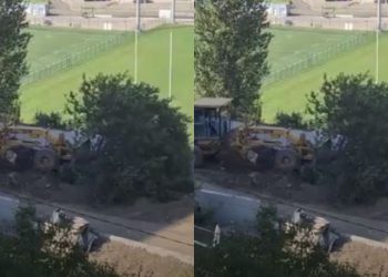 🎥”წლობით ნაზარდი ხე წამში მოთხარეს” – ვრცელდება კადრები, რომელმაც საზოგადოება აღაშფოთა